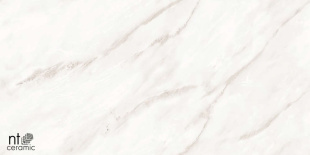 Керамогранит NT Ceramic Marmo Empire Pearl Endless Glossy арт. NTT99525P (60x120) полированная